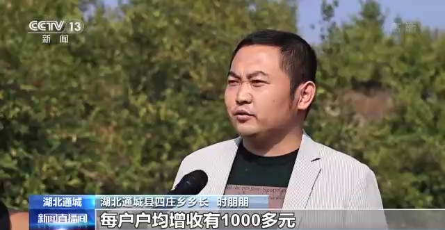 寻乌富硒产品