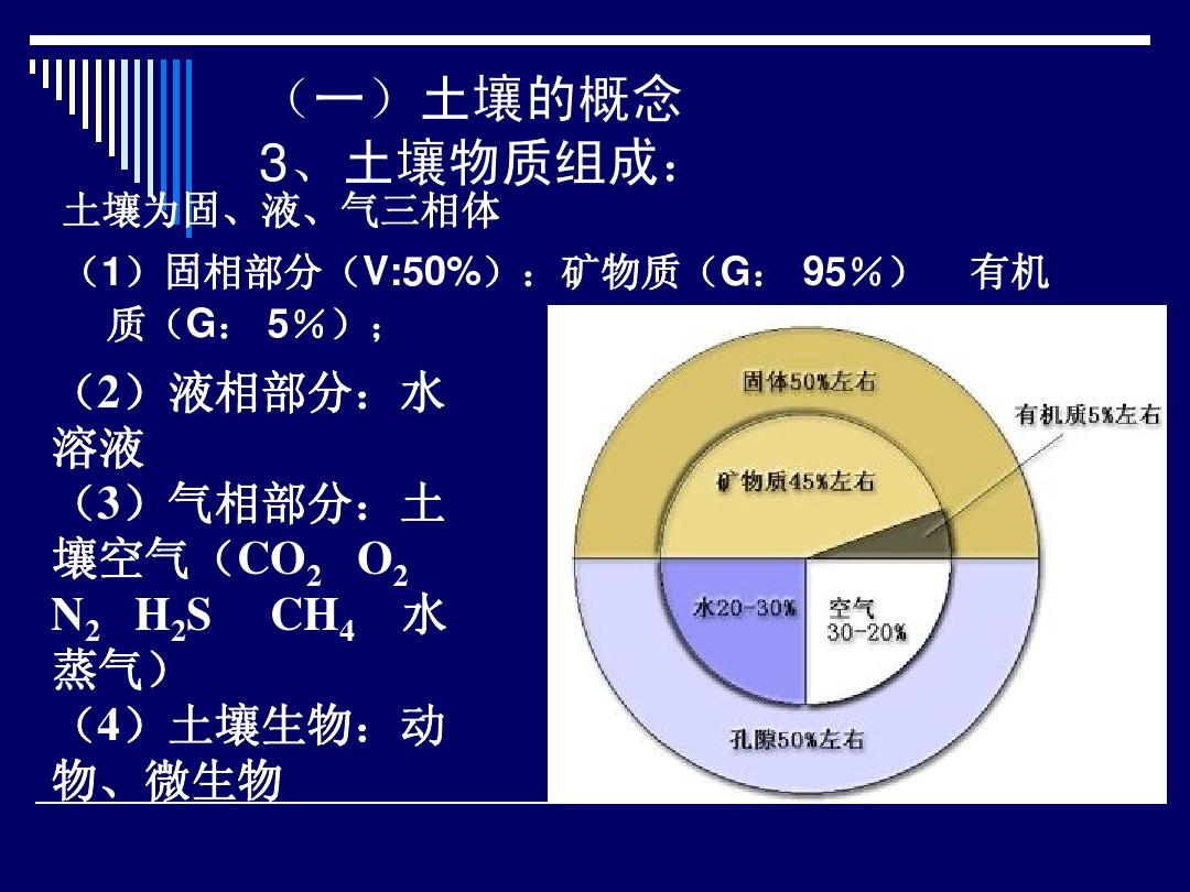 富硒产品有啥