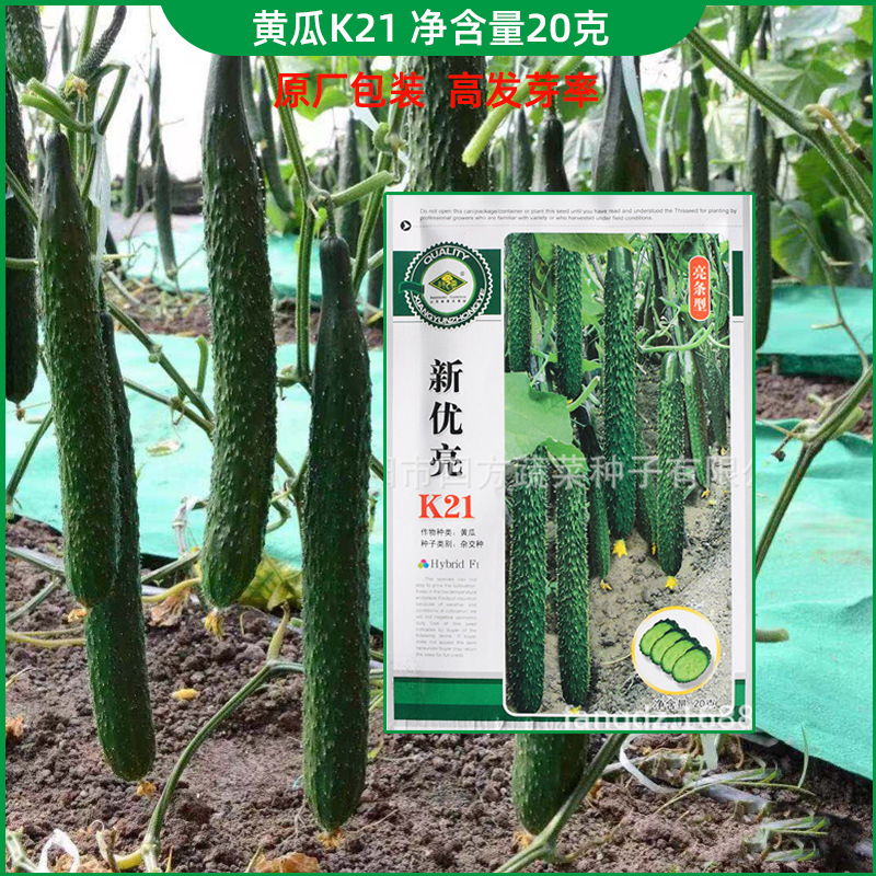 富硒产品栽培
