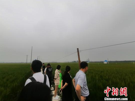 辽宁富硒产品
