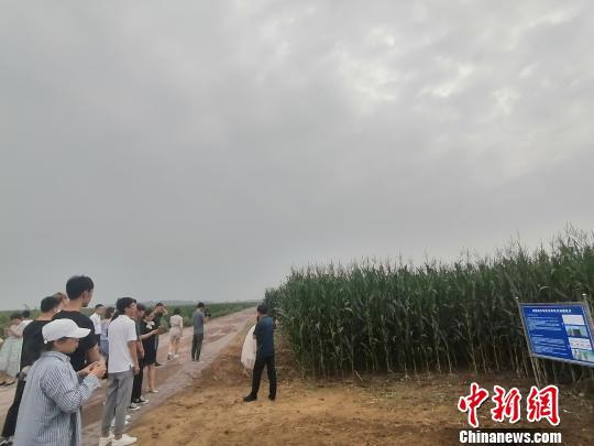 辽宁富硒产品