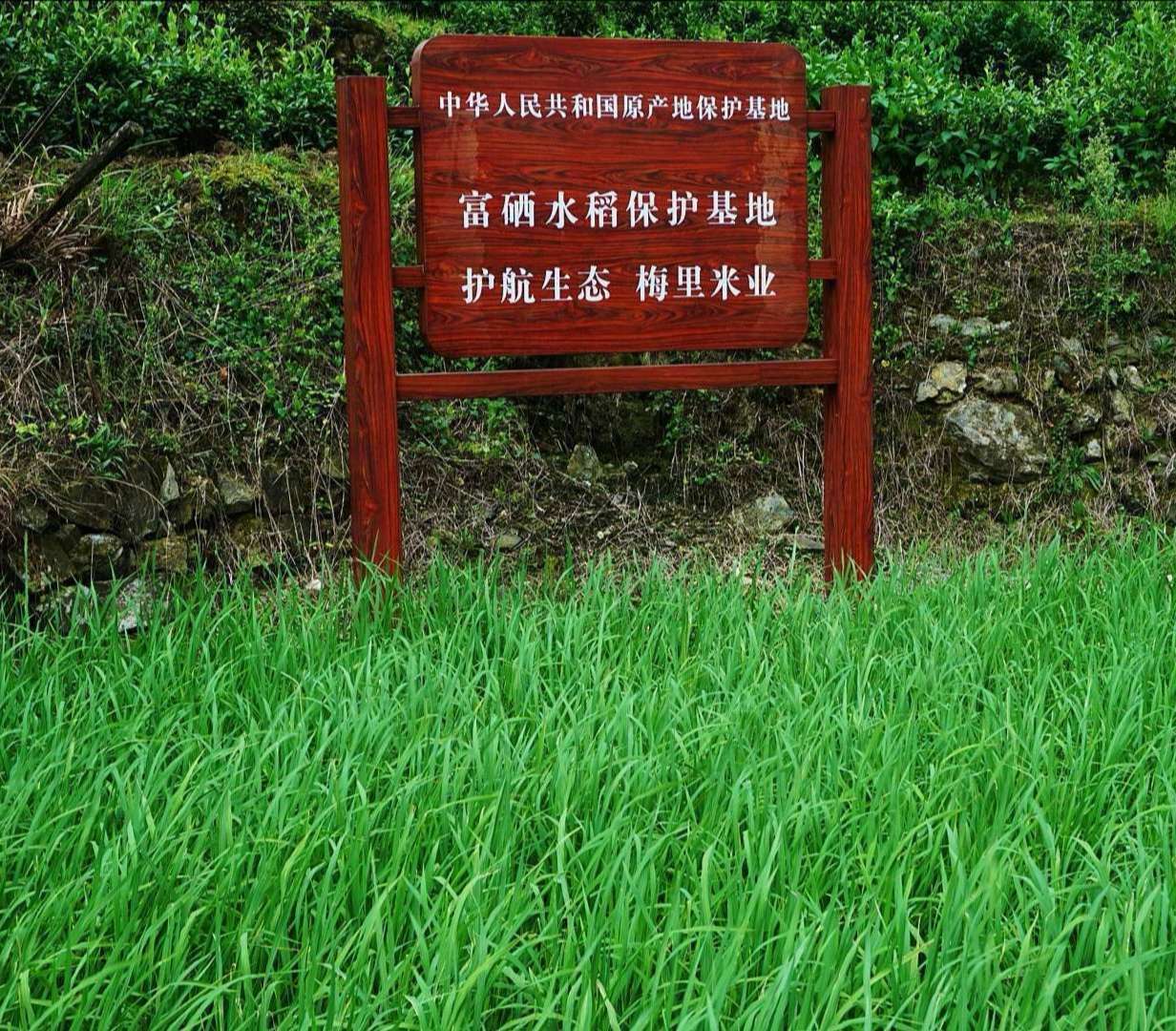 富硒产品政策
