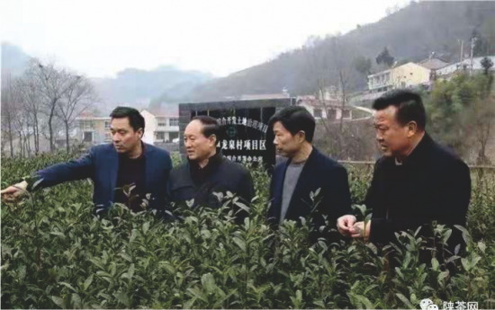 富硒产品调查