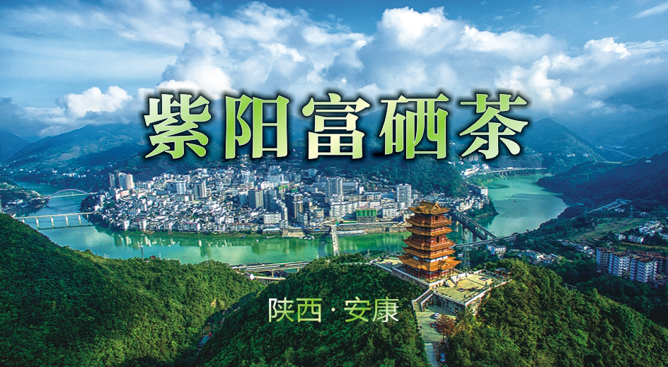 紫阳富硒茶节