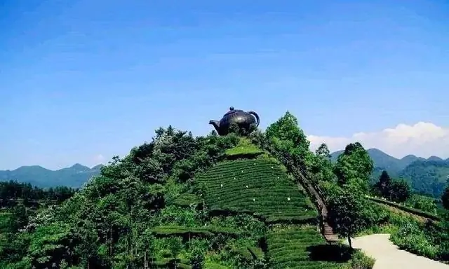 原生茶富硒茶