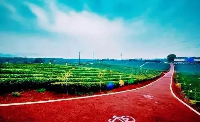 原生茶富硒茶