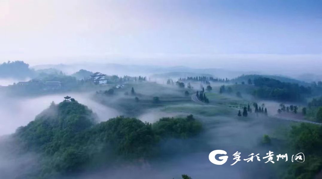 开阳 富硒茶