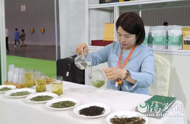 汉滨区富硒茶