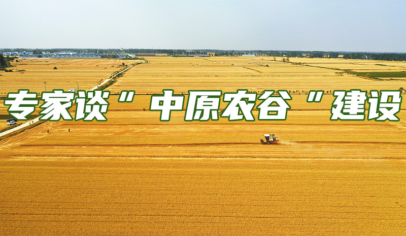 富硒桑茶用途