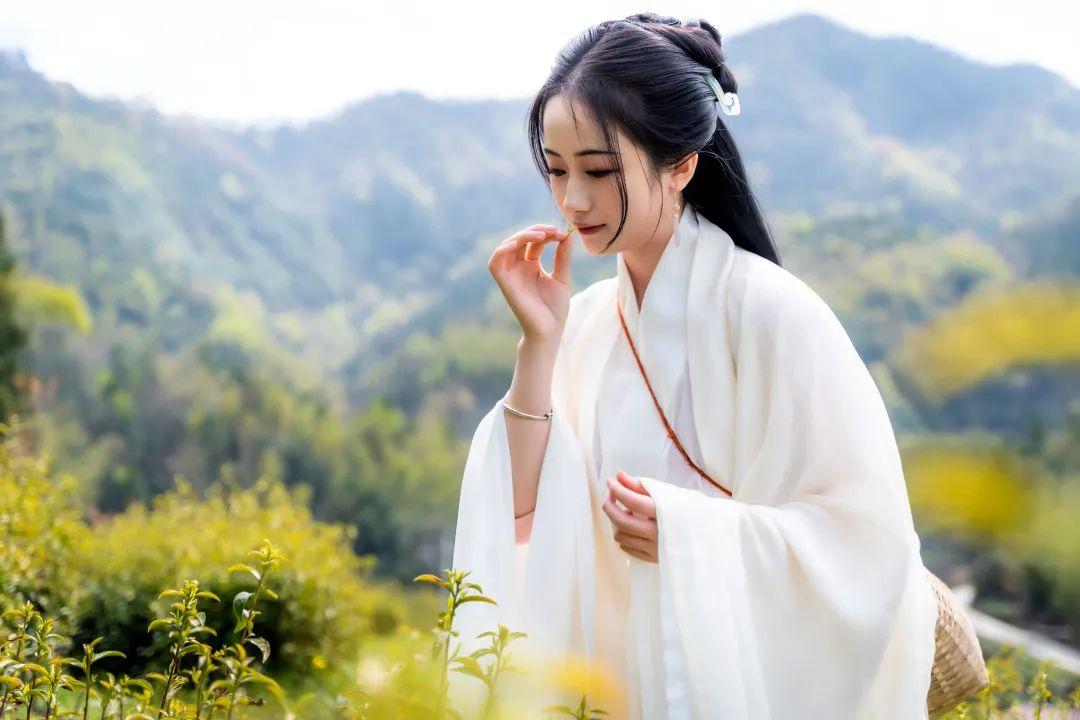 安徽的富硒茶
