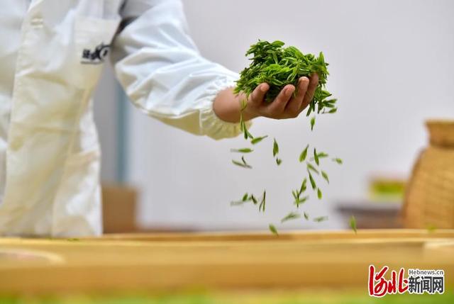 紫阳富硒茶地