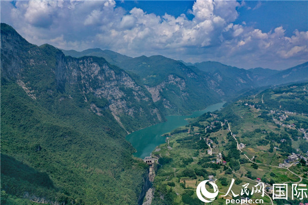 金竹山富硒茶