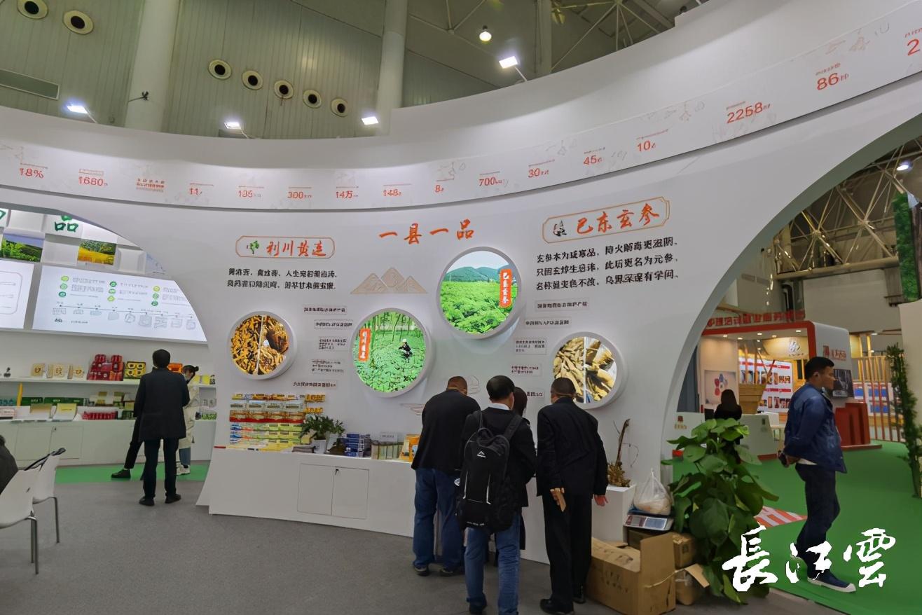 恩施富硒滕茶