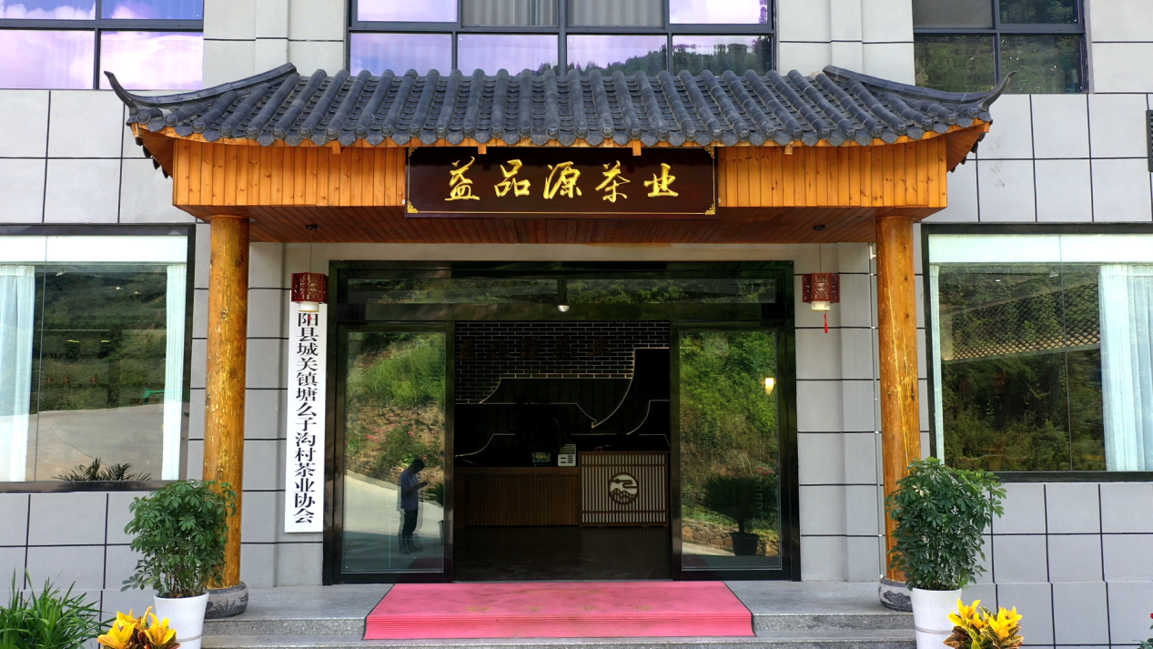 阿紫阳富硒茶
