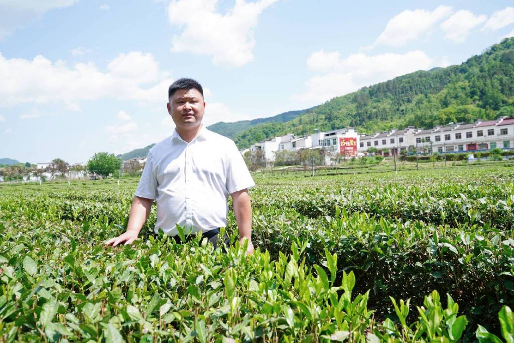 平利富硒黑茶