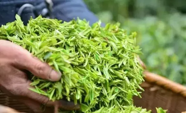 阿紫阳富硒茶
