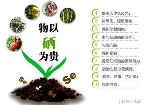 富硒茶有晶体