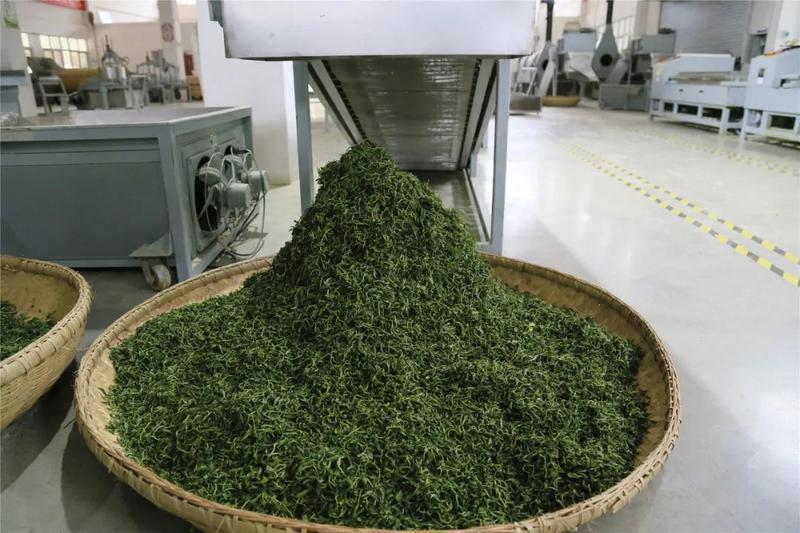 池州富锌硒茶