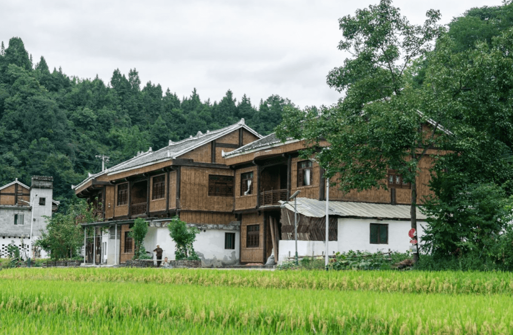 凤冈锌硒富茶