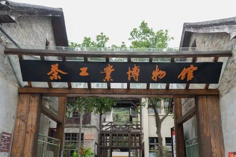 凤冈锌硒富茶