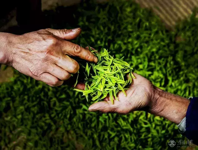 富硒茶直播词