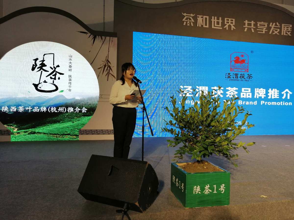 紫阳春富硒茶