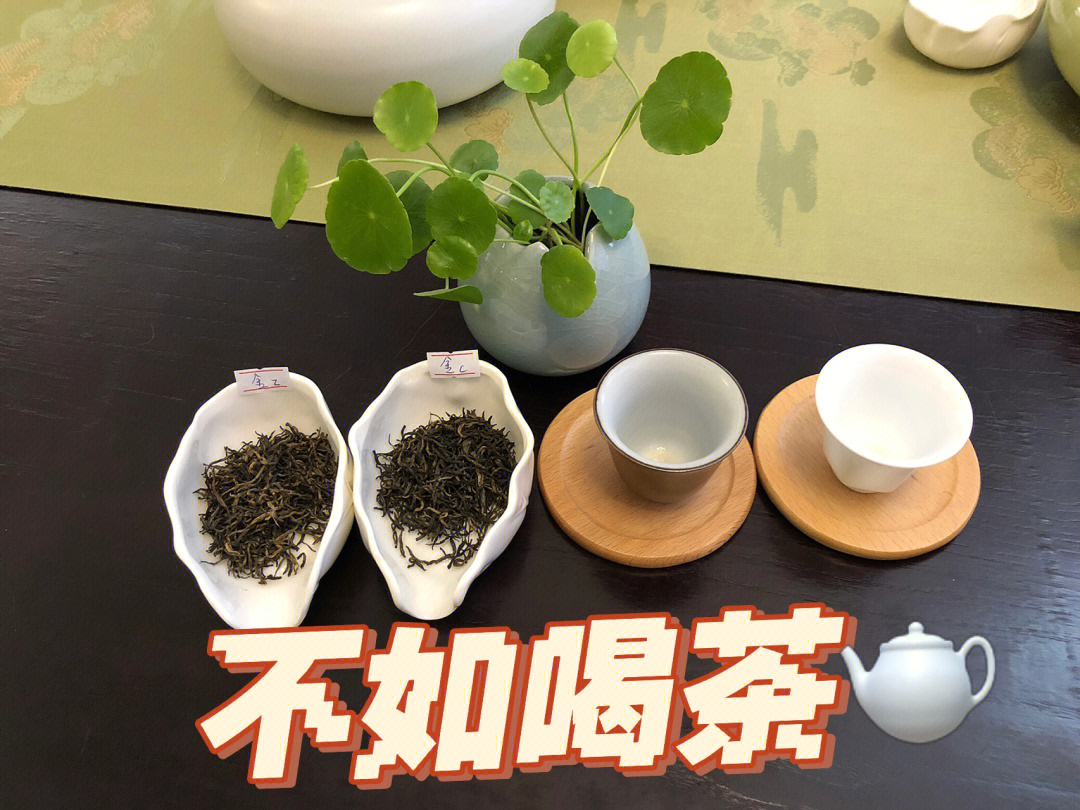 紫阳春富硒茶