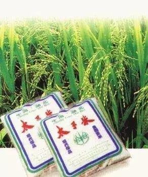 富硒藤茶颗粒