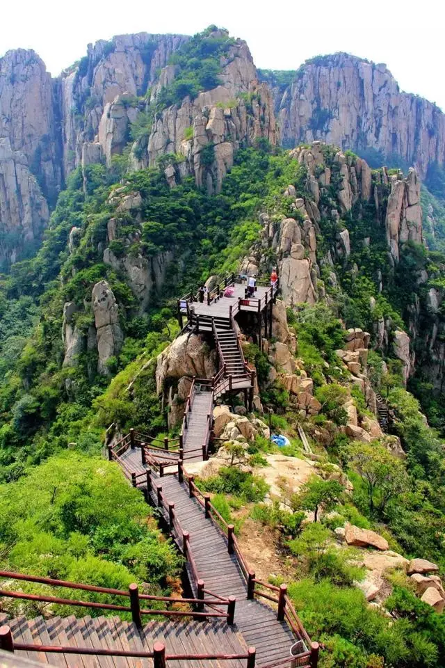 梨子寨富硒茶