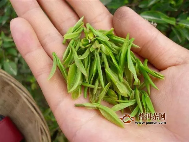 紫阳富硒茶毛尖的功效及冲泡方法