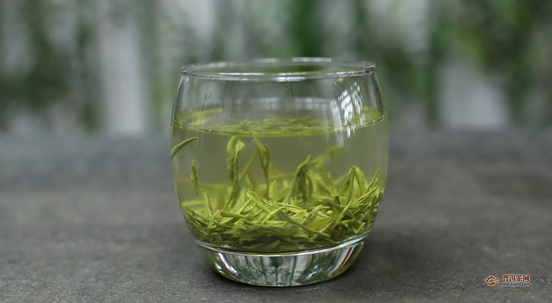 紫阳富硒茶毛尖的功效及冲泡方法