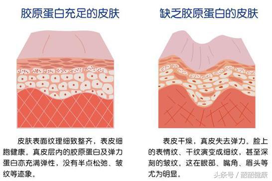 小分子富硒茶