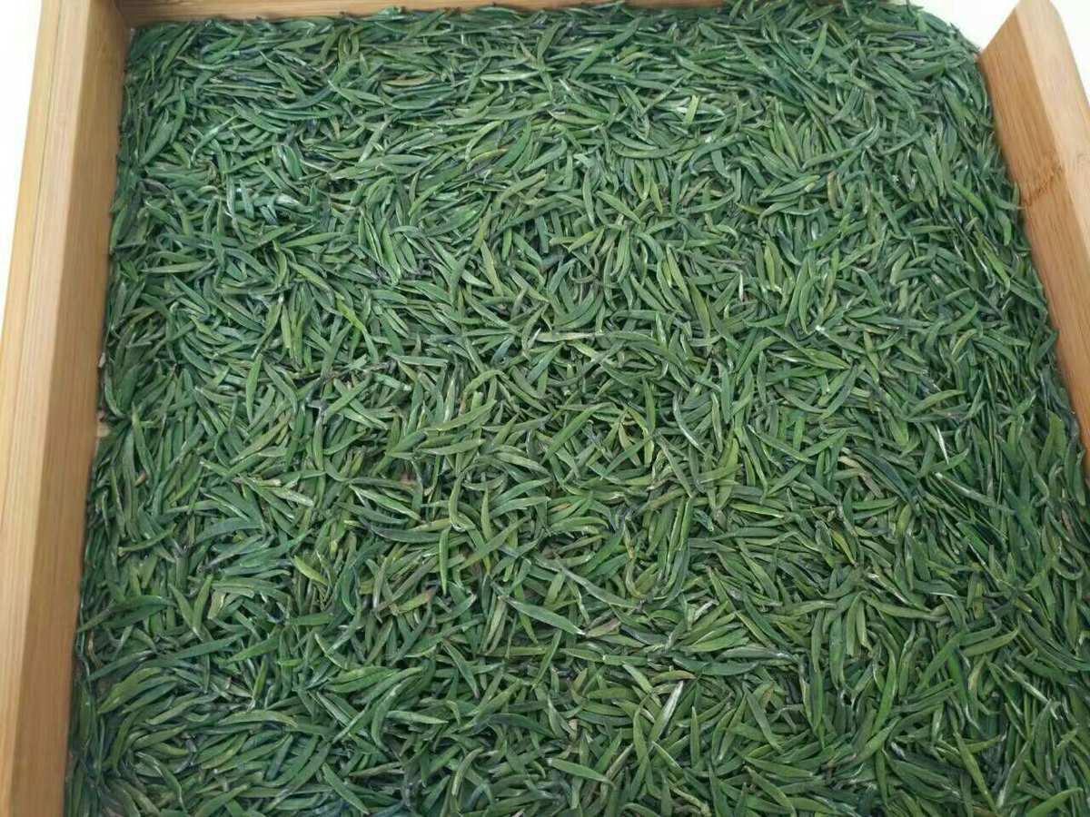 湄潭茶是富硒