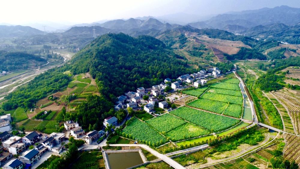 汉中有富硒茶
