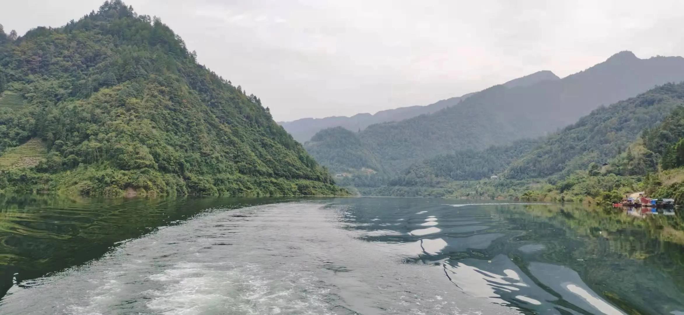湖北富硒黑茶
