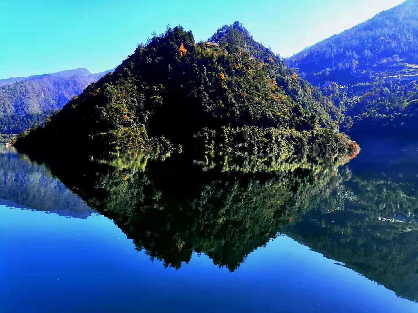 湖北富硒黑茶
