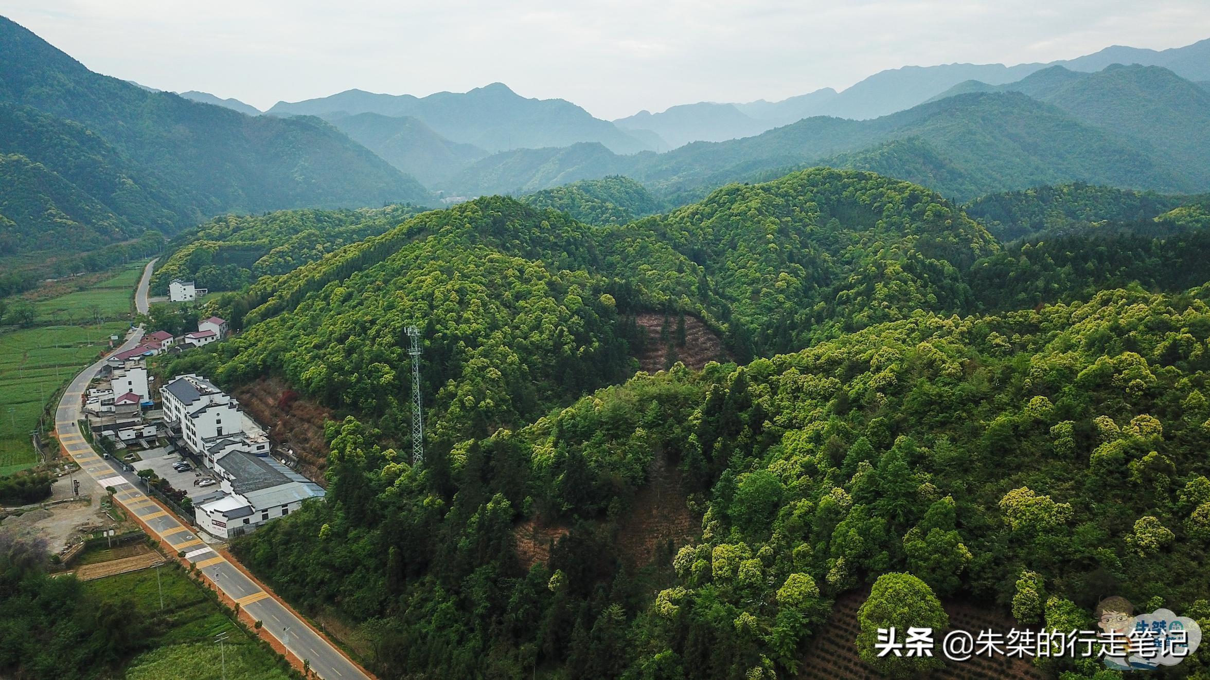 云南富硒茶乡