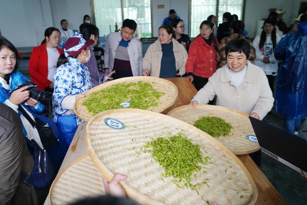 芭蕉县富硒茶