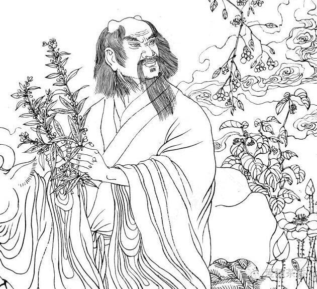 富硒茶的文化