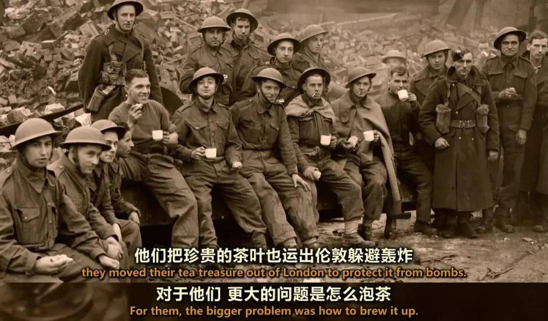 富硒茶配什么