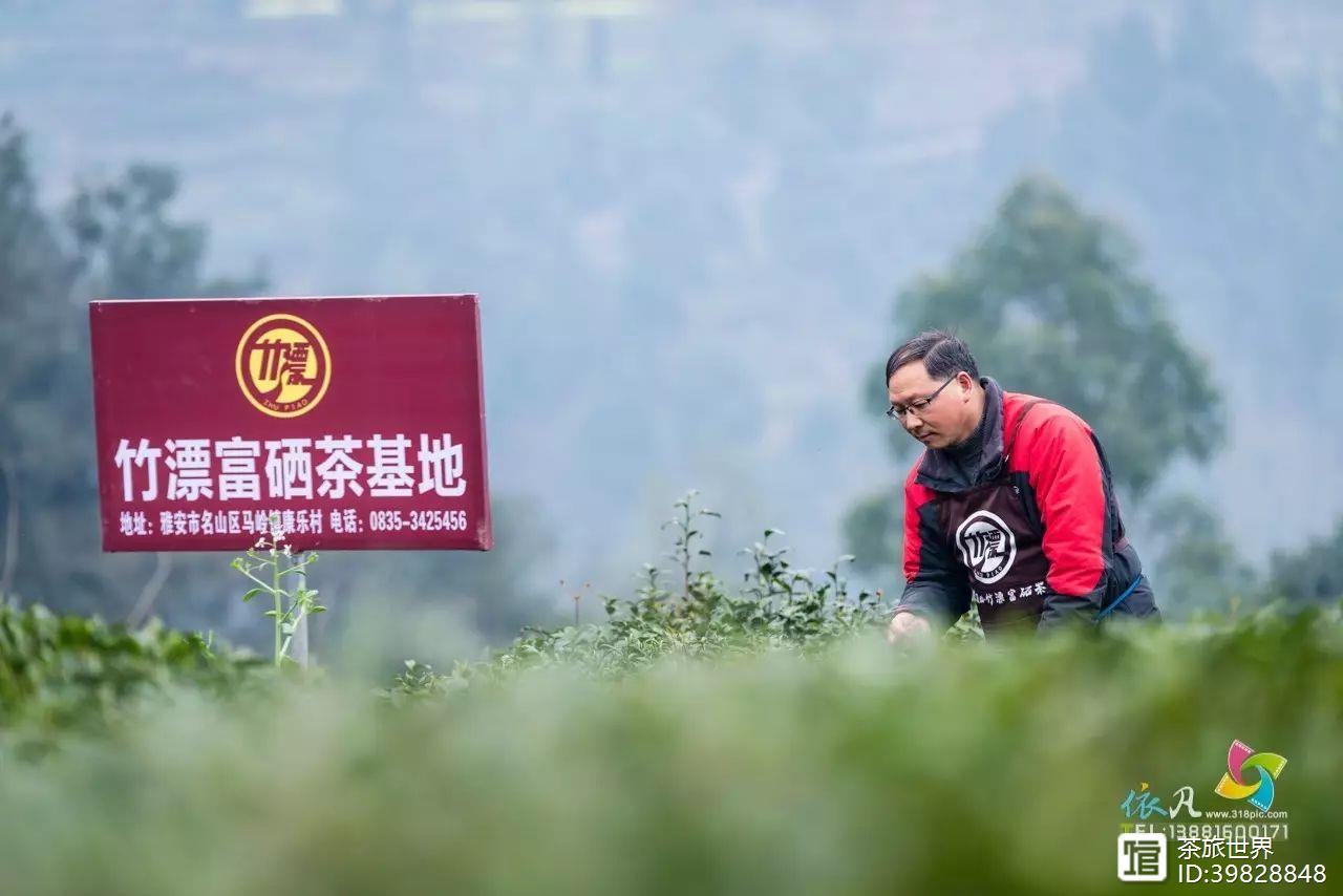 富硒茶真的吗