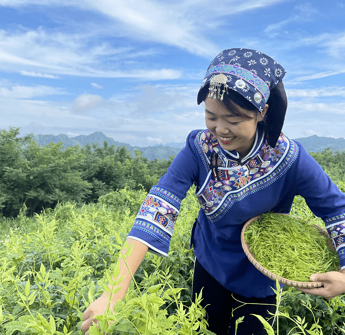 永顺富硒莓茶