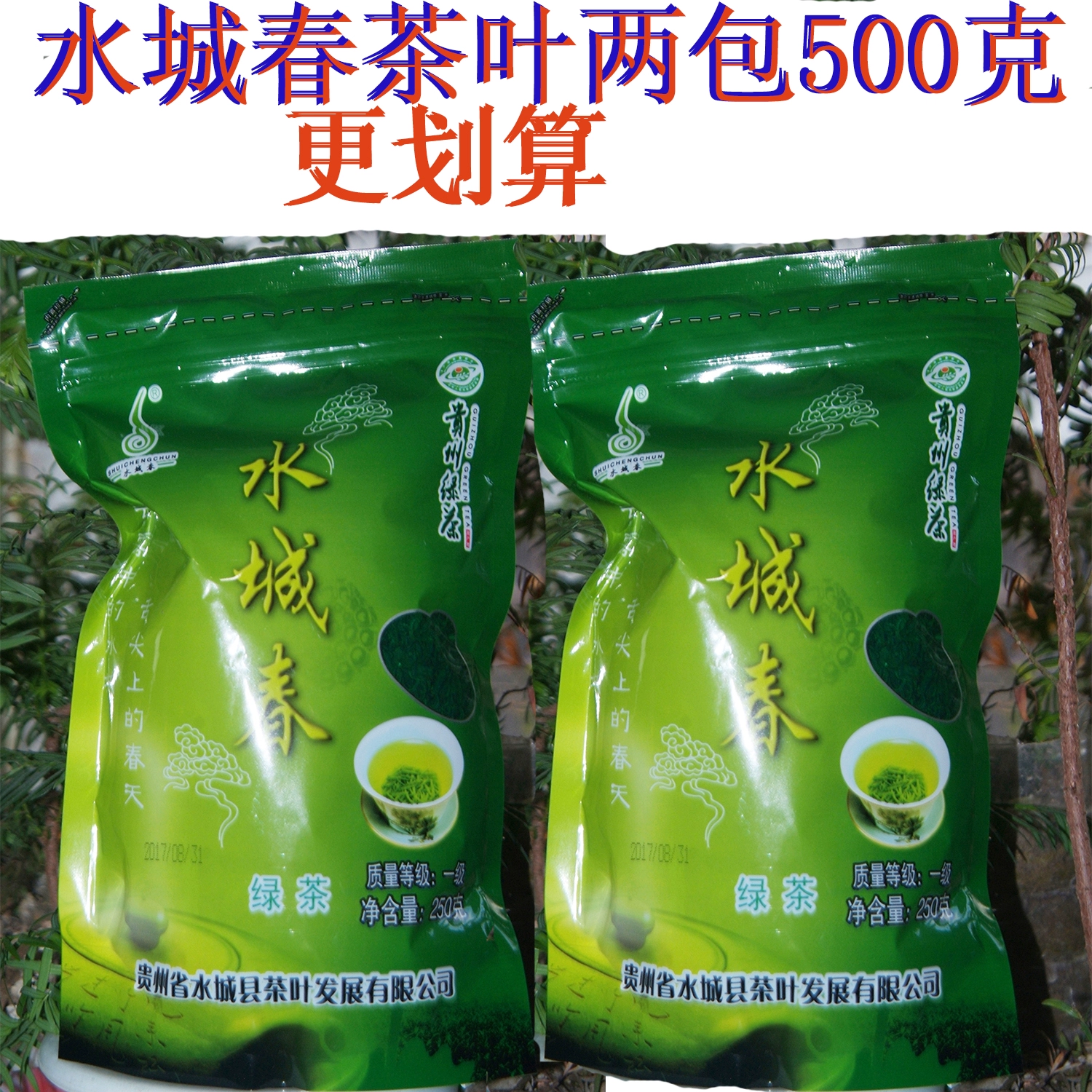 水城春富硒茶