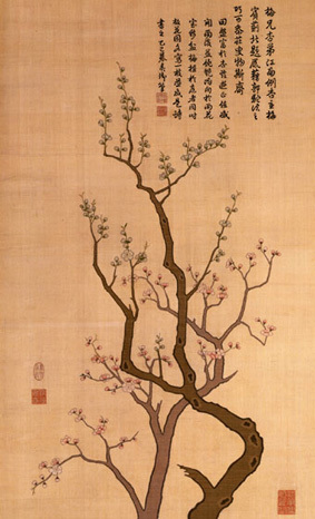 开阳富硒茶图