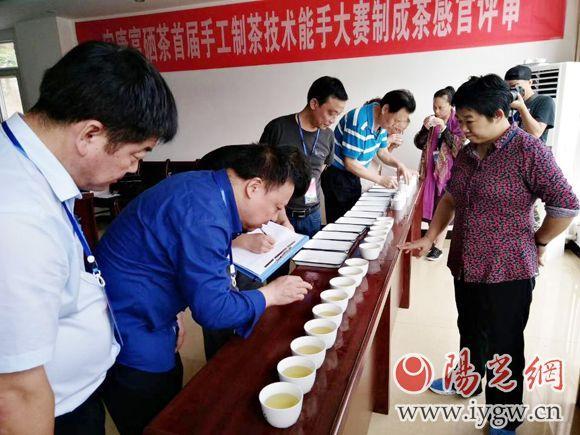 首届安康富硒茶手工制茶大赛落幕6名技术能手脱颖而出