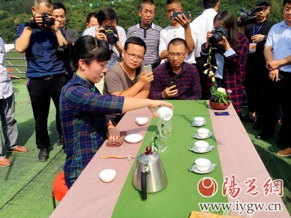 首届安康富硒茶手工制茶大赛落幕6名技术能手脱颖而出