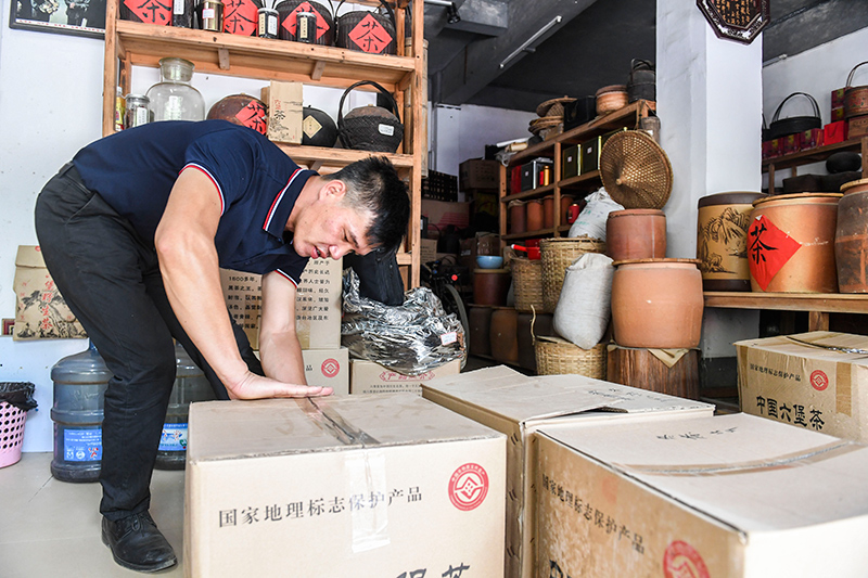 叶动力富硒茶