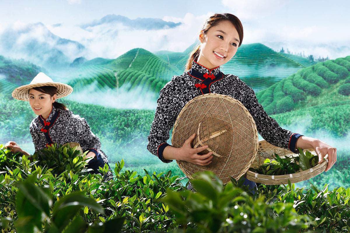 仁怀富锌硒茶