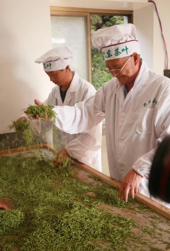 溪丘湾富硒茶