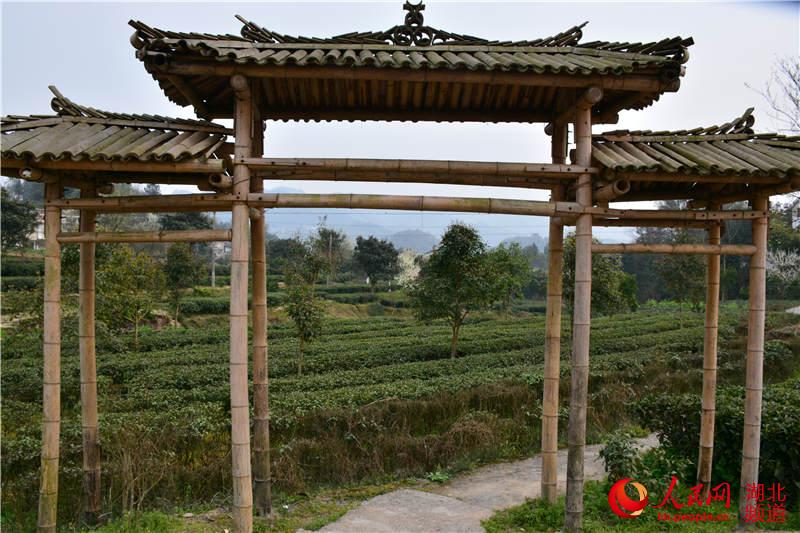 卖富硒茶主播